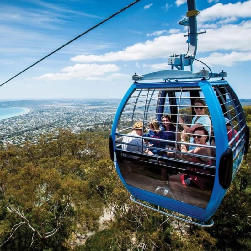 Family Lunch and Arthurs Seat Eagle for 2 Adults and 2 kids - Authentic Experiences and Guest Feedback