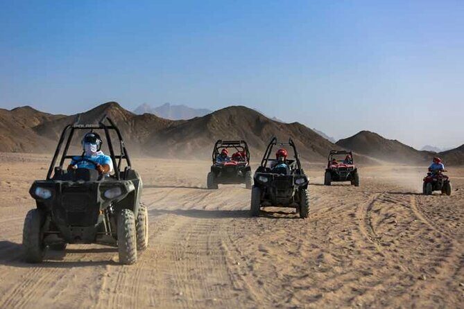 Family or double buggy safari & bedouin village in Sharm - The Sum Up