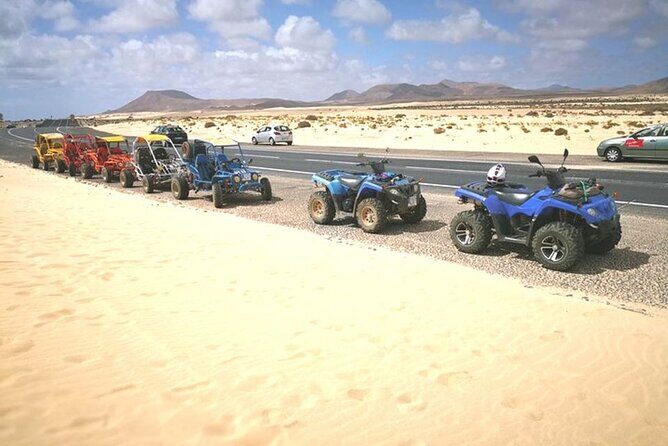Family or double buggy safari & bedouin village in Sharm - FAQs