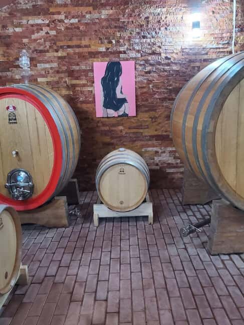 Family-owned Winery Tour with Candy Cane Mountain Visit - An In-Depth Look at the Experience