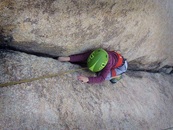 Family Rock Climbing Trips in Joshua Tree National Park (4 Hours) - Who Will Love This Tour?