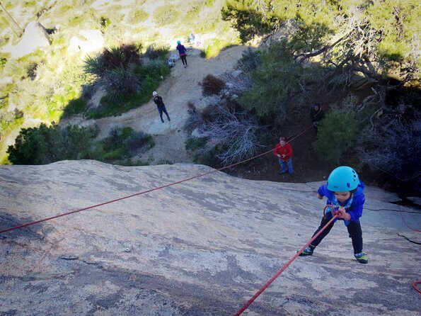 Family Rock Climbing Trips in Joshua Tree National Park (4 Hours) - Final Thoughts