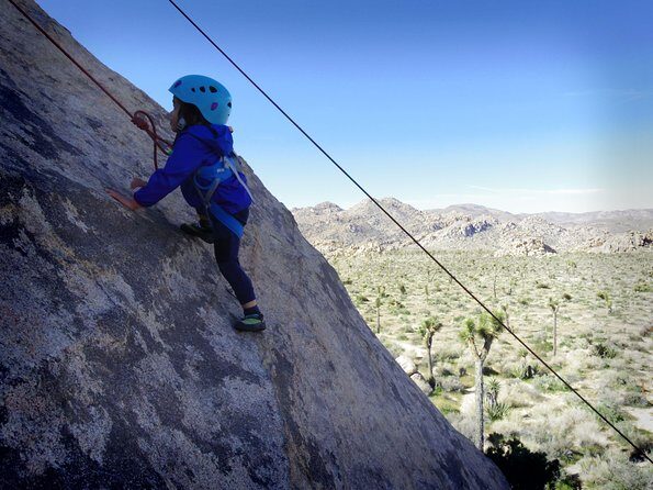 Family Rock Climbing Trips in Joshua Tree National Park (6 Hours) - Key Points