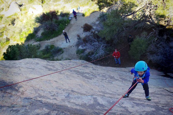 Family Rock Climbing Trips in Joshua Tree National Park (6 Hours) - Detailed Breakdown of the Experience