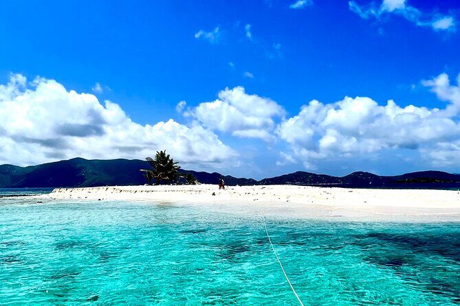 Family Snorkel Safari. Private boat! - Key Points