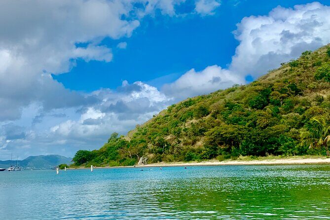 Family Snorkel Safari. Private boat! - An Overview of the Experience