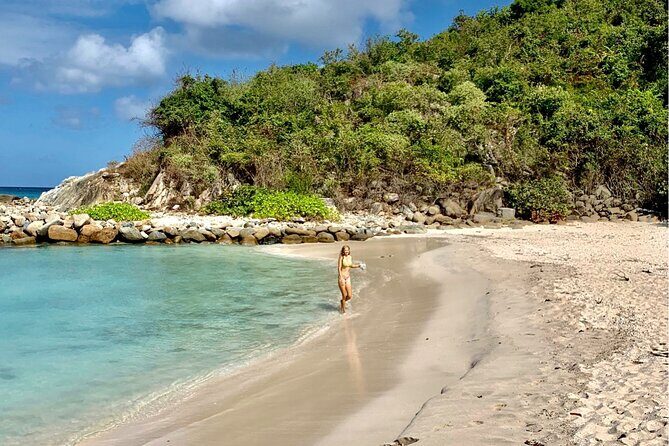 Family Snorkel Safari. Private boat! - The Sum Up