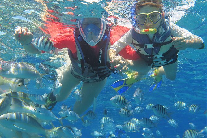 Family Snorkeling Adventure Punta Cana - Who Is This Tour Best For?