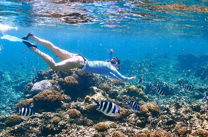 Family Snorkeling Adventure Punta Cana - FAQ