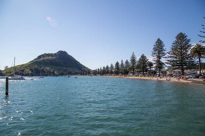 Family Surfing Lesson in Mount Maunganui - An In-depth Look at the Experience