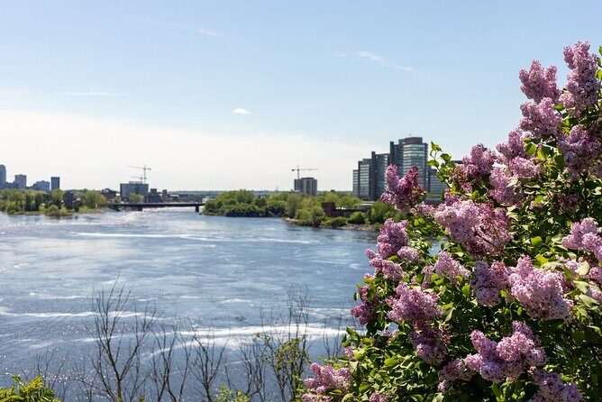 Family Walking Tour in Ottawa with Special Highlights - FAQ