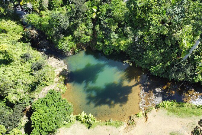 Famous Guavate Pork Road & Charco Azul Food & River Tour - An In-Depth Look at the Tour Itinerary