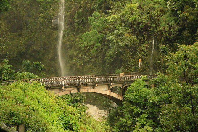 Famous Road to Hana Waterfalls and Lunch by Mercedes Van - An In-Depth Look at the Road to Hana Experience