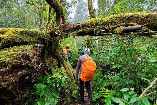 Fansipan Trek One Day Tour Roof of Indochina - Who Will Love This Tour?