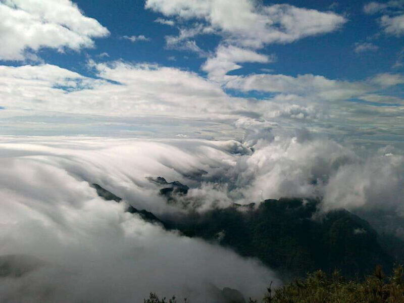 Fansipan Trekking - 1 Day - What’s the Tour All About?