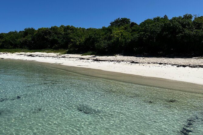 FANTASTIC Green Island and Sea Turtles - Half Day share boat trip - Who Will Love This Tour?