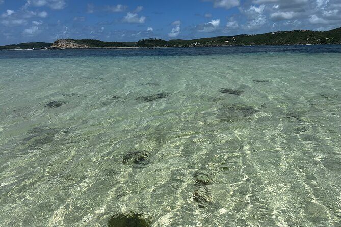 FANTASTIC Green Island and Sea Turtles - Half Day share boat trip - Frequently Asked Questions