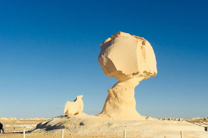 Fantastic Overnight White Desert and Baharya oasis - Key Points