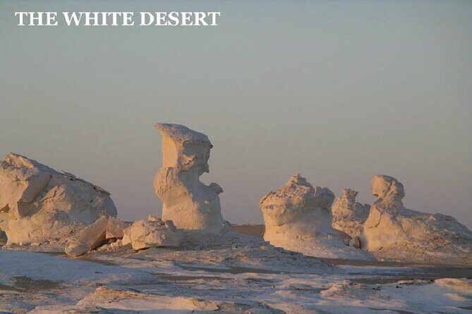 Fantastic Overnight White Desert and Baharya oasis - The Experience: Authentic, Scenic, and Educational