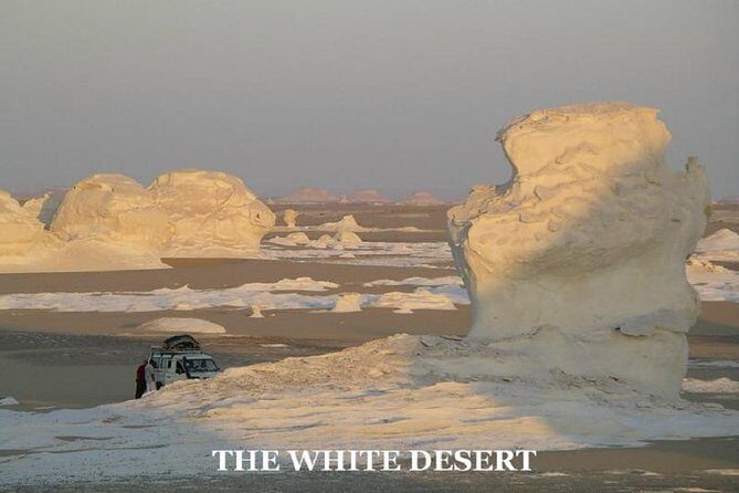 Fantastic Overnight White Desert and Baharya oasis - Who Will Love This Tour?