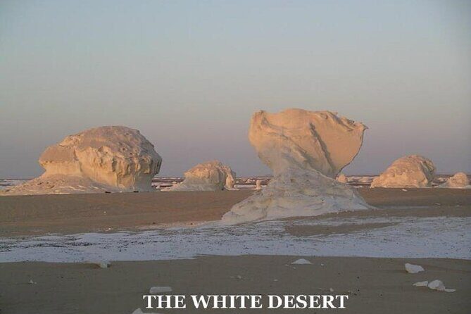 Fantastic Overnight White Desert and Baharya oasis - The Sum Up: Who Should Consider This Tour?