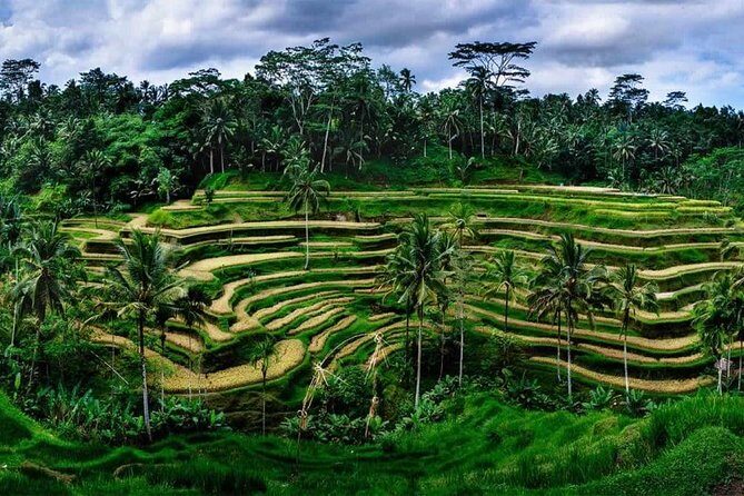 Fantastic Ubud Tour with Jungle Swing - The Experience and Reviews