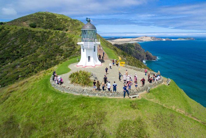 Far North New Zealand Tour Including 90 Mile Beach and Cape Reinga from Paihia - Introduction