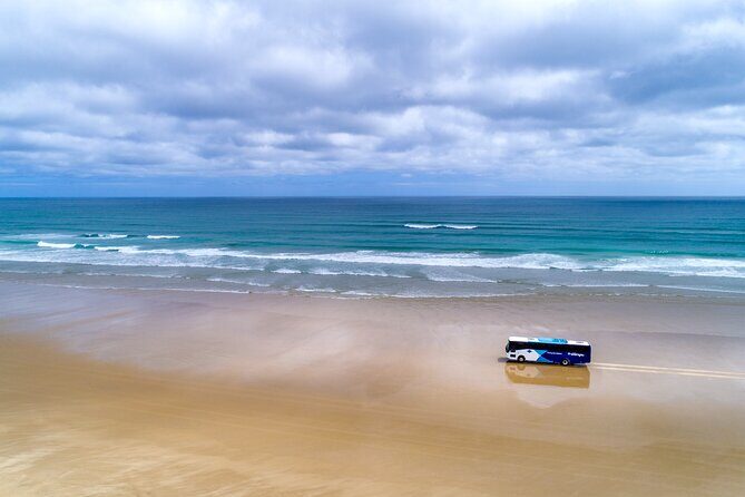 Far North New Zealand Tour Including 90 Mile Beach and Cape Reinga from Paihia - Key Points