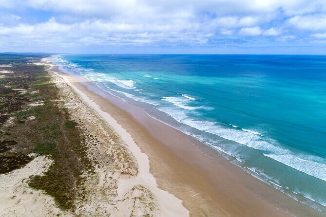 Far North New Zealand Tour Including 90 Mile Beach and Cape Reinga from Paihia - Food and Comfort