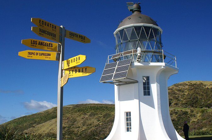 Far North New Zealand Tour Including 90 Mile Beach and Cape Reinga from Paihia - Cost and Value Analysis