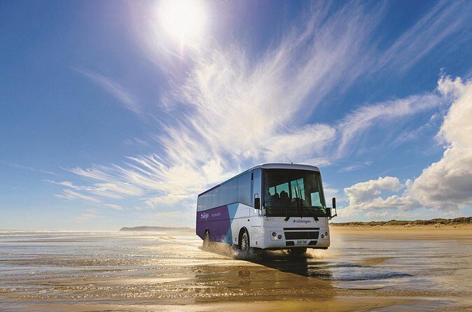 Far North New Zealand Tour Including 90 Mile Beach and Cape Reinga from Paihia - The Sum Up