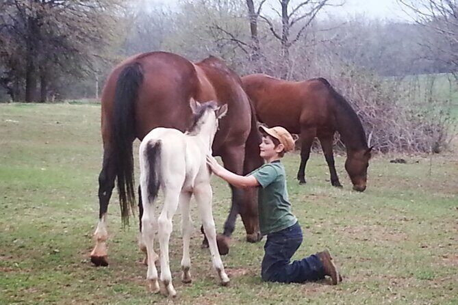 Farm Adventure Experience in Red Hill Ranch - What to Expect During Your Farm Adventure