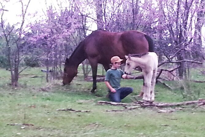 Farm Adventure Experience in Red Hill Ranch - Practical Tips and Considerations
