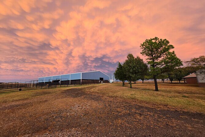 Farm Adventure Experience in Red Hill Ranch - FAQs