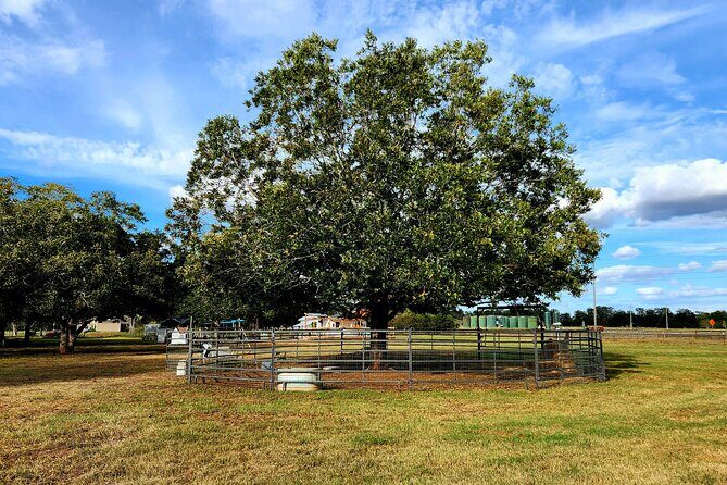 Farm Day Pass General Admission - Authentic Feedback: What Visitors Say