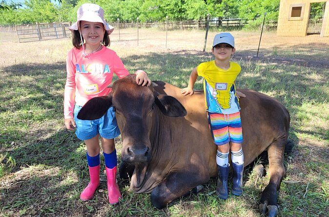 Farm Day Pass General Admission - Who Will Love This Experience?