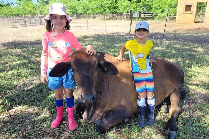 Farm Day Pass General Admission - The Sum Up: Is It Worth It?