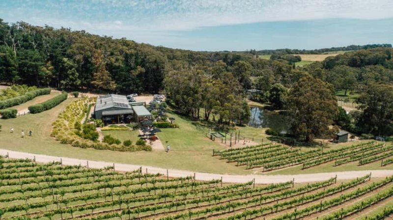 Farm Picnic for 2 adults - A Closer Look at the Farm Picnic Experience