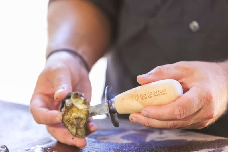 Farm to Plate - Sydney's Oyster Heartland - Practical Tips for Participants