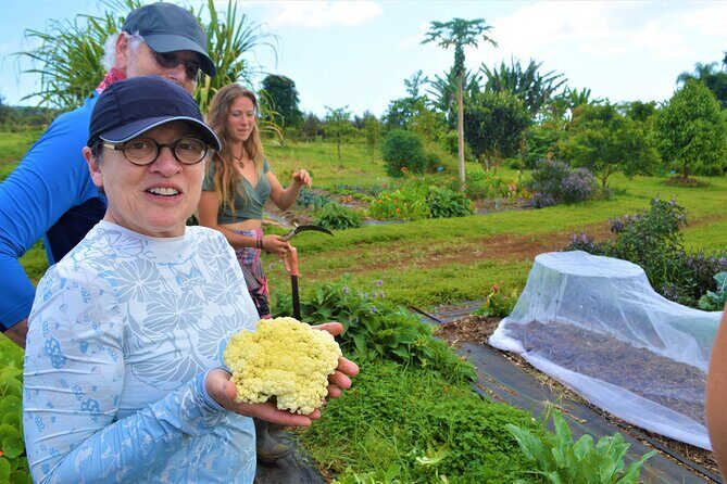 Farm to Table Cooking Class at Kulaniapia Falls - Farm to Table Cooking Class at Kulaniapia Falls: An Authentic Hawaiian Food Adventure