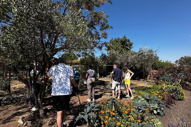 Farm to Table Cooking Experience in San Miguel - A Deep Dive into the Farm-to-Table Experience