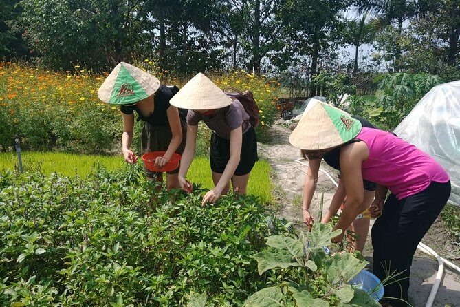 Farm-To-Table Healthy Cooking Class in Ho Chi Minh City - A Deep Dive into the Experience