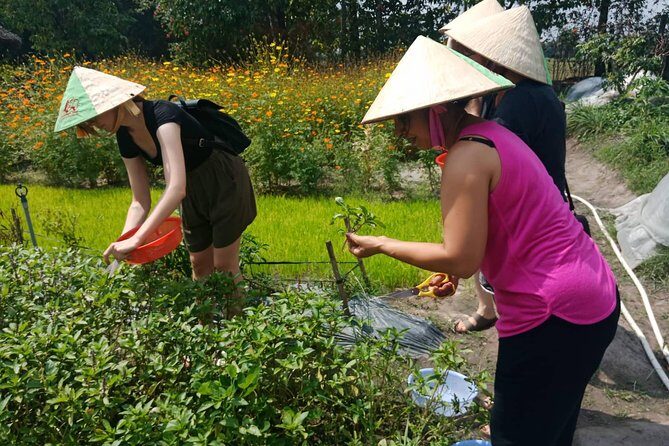 Farm-To-Table Healthy Cooking Class in Ho Chi Minh City - Final Thoughts