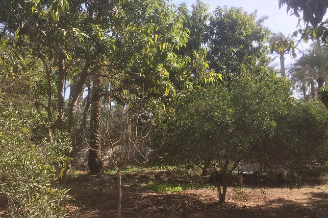 Farm-To-Table Tour With An Adventure To Bent & Red Pyramids - FAQ