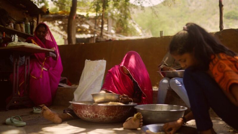 Farm to Table: With a local farmer family - Cultural Richness and Local Artisans