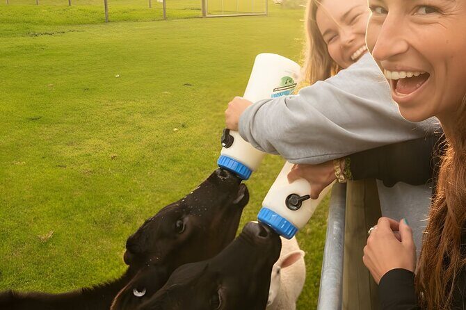 Farm Tour and Milford Sound Nature Cruise from Te Anau - Why This Tour Offers Good Value
