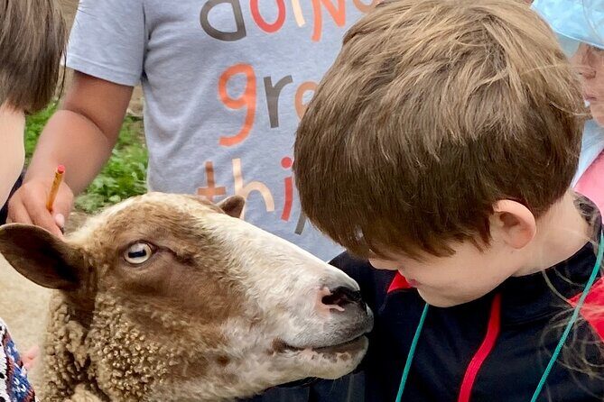 Farm Tour at Clover Brooke Llama/Alpaca/Goat Farm - Introduction: What to Expect at Clover Brooke Farm