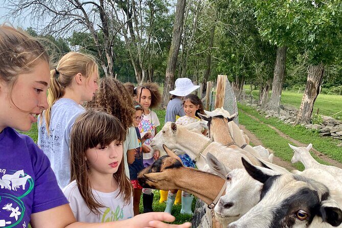 Farm Tour at Clover Brooke Llama/Alpaca/Goat Farm - The Sum Up: Who Will Love This Farm Tour?