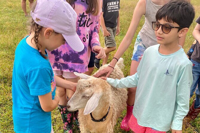 Farm Tour at Clover Brooke Llama/Alpaca/Goat Farm - FAQ: Practical Questions About the Clover Brooke Farm Tour