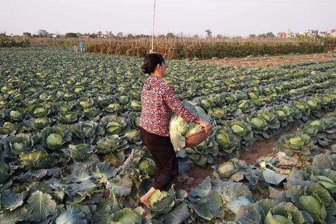 Farm tour & Home cooking class with local family in Hanoi - An In-Depth Look at the Hanoi Farm & Cooking Tour